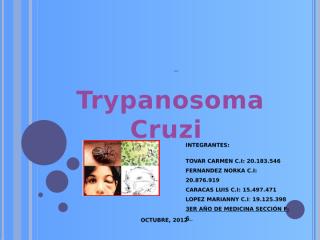 trypanosoma cruzi LAMINAS.pptx