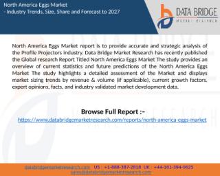 North America Eggs Market report.pptx