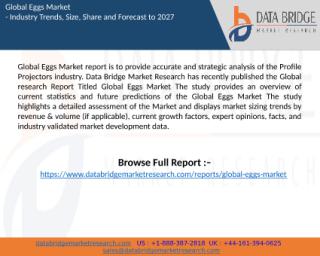 Eggs Market report.pptx